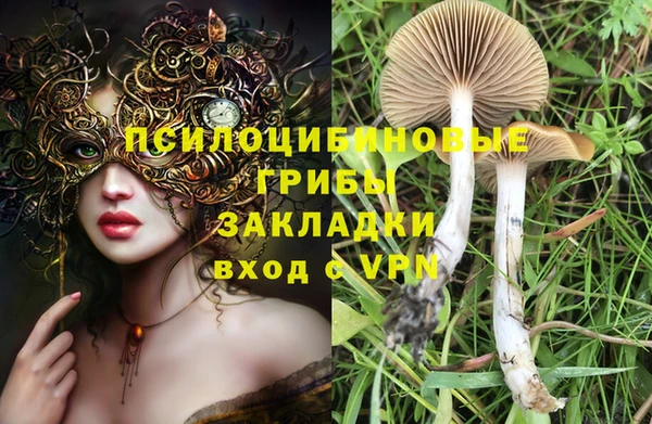 тгк Абаза