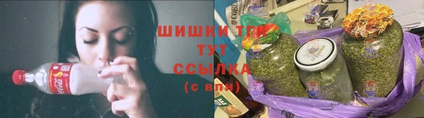 тгк Абаза
