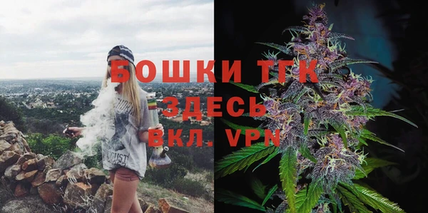 тгк Абаза
