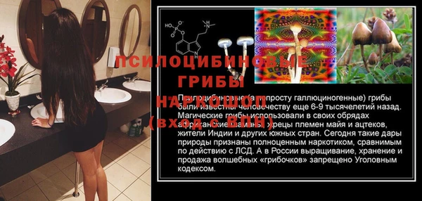 тгк Абаза